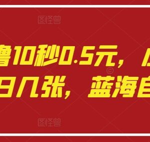 语聊自撸蓝海项目操作指南 小白易上手单日可获数百元收益-雨叶虚拟资源网