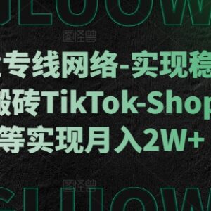 跨境专线稳定网络使用指南 助力TikTok等海外业务实现月入2W+-雨叶虚拟资源网