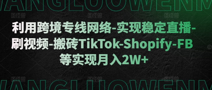 跨境专线稳定网络使用指南 助力TikTok等海外业务实现月入2W+