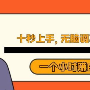 适合新手的无门槛调研接单项目 操作简单的靠谱副业赚钱途径-雨叶虚拟资源网