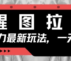 2025醒图拉新零门槛玩法 手机3分钟做视频即可轻松赚收益-雨叶虚拟资源网