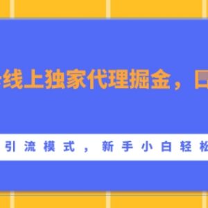 2024流量卡线上独家代理实操教程 新手可上手多模式引流玩法-雨叶虚拟资源网