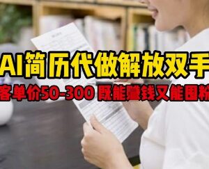 AI简历代做蓝海副业全解析 客单价50-300可变现还能引流囤粉-雨叶虚拟资源网