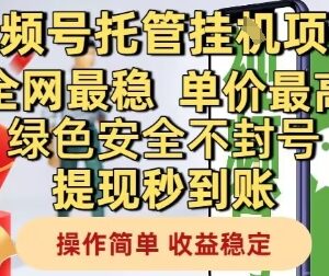 视频号托管挂机项目玩法揭秘 零投入稳定收益操作指南-雨叶虚拟资源网