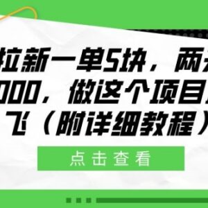 2024电影网盘拉新项目实操教程 一单5元两天收益近万玩法详解-雨叶虚拟资源网