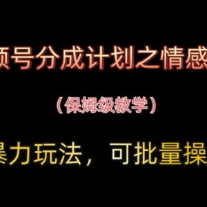 视频号分成计划情感赛道实操玩法 可批量操作保姆级教程-雨叶虚拟资源网