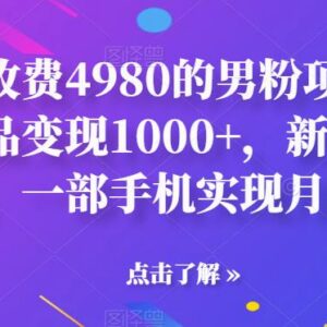 售价4980男粉变现项目拆解 单作品赚千元手机即可操作-雨叶虚拟资源网