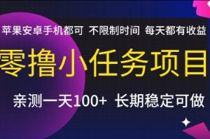 零门槛手机小任务赚钱项目 苹果安卓通用不限时间每日有收益-雨叶虚拟资源网
