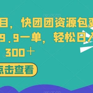 快团团资源包变现冷门项目玩法 低门槛副业日入300操作指南-雨叶虚拟资源网
