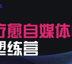 2025治愈自媒体IP训练营 疗愈领域从业者IP打造变现实操课程-雨叶虚拟资源网