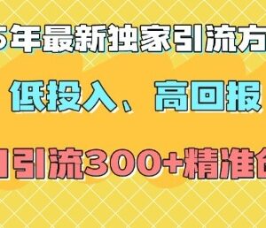 2025年最新全平台引流技巧 低投入当日可获300+精准创业粉-雨叶虚拟资源网