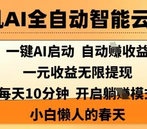 手机AI全自动云托管项目解析 小白每日10分钟即可轻松赚收益-雨叶虚拟资源网