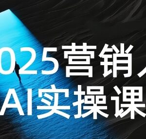2025营销人AI实操课 从Prompt到方案全流程实战提升工作效率-雨叶虚拟资源网
