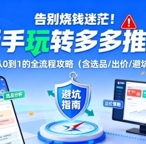 拼多多推广新手从0到1全流程攻略 含选品出价避坑技巧-雨叶虚拟资源网