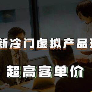 冷门高客单价虚拟产品玩法 百度引流变现月入2-3万-雨叶虚拟资源网