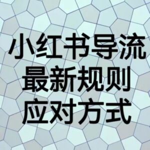 小红书导流最新规则详解 违规雷区及合规引流方法汇总-雨叶虚拟资源网