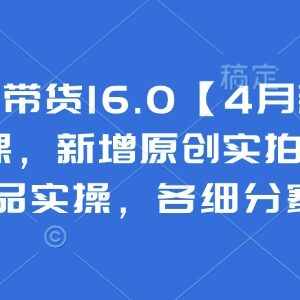 2025抖音图文带货4月新课 0基础多赛道选品实拍混剪实操教学-雨叶虚拟资源网