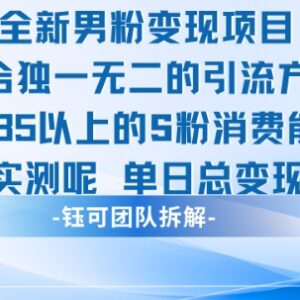 面向35+高消费男粉变现项目 实测单账号单日变现超1000元-雨叶虚拟资源网