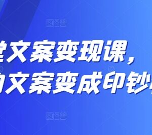 12堂系统文案变现课 全流程教学提升文案获客带货转化能力-雨叶虚拟资源网