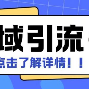 全公域平台引流创业粉模板玩法 支持矩阵操作日引500+精准粉-雨叶虚拟资源网