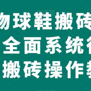 得物球鞋搬砖项目系统教程 低门槛线上赚差价玩法全解析-雨叶虚拟资源网