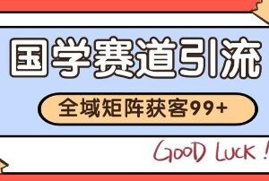 国学赛道精准拓客实操方法 自热矩阵日引99+获客SOP全解析-雨叶虚拟资源网