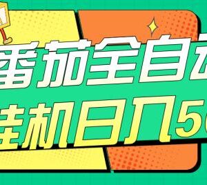 番茄平台全自动挂机赚钱攻略 单账号日入50多号收益可破百-雨叶虚拟资源网