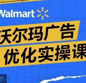 沃尔玛广告优化实操课 广告报告解读及提转化升ROAS打法详解-雨叶虚拟资源网