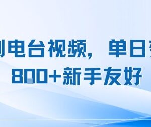 复刻电台视频副业项目解析 新手易上手可长期操作单日变现可观-雨叶虚拟资源网