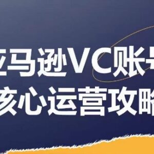 2024亚马逊VC账号核心运营玩法 全模块实操助卖家提GMV增利润-雨叶虚拟资源网