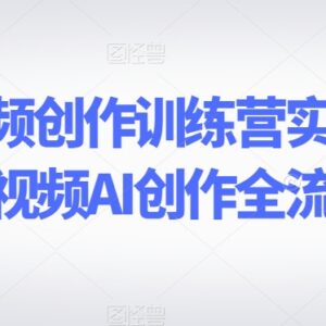 AI短视频创作训练营实操课 剪映全端剪辑全流程教学-雨叶虚拟资源网