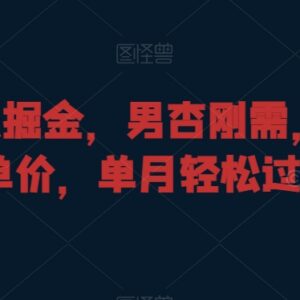 男性刚需虚拟项目玩法拆解 零成本高客单价单月盈利实操-雨叶虚拟资源网