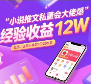 小说推文私董会爆单经验分享 番茄小说单日稳定四位数收益技巧-雨叶虚拟资源网