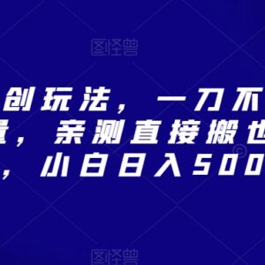 视频号无剪辑原创玩法攻略 提播放过原创新手可落地获收益-雨叶虚拟资源网