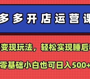 拼多多蓝海开店运营教程 零基础无货源变现全流程玩法-雨叶虚拟资源网