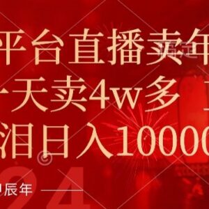 年末新平台直播卖年货实操指南 低门槛上手单日收益可达万元-雨叶虚拟资源网
