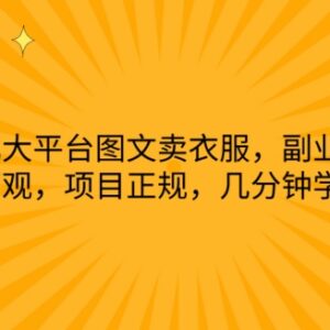 小红书抖音快手图文卖女装副业 正规易上手几分钟即可学会-雨叶虚拟资源网