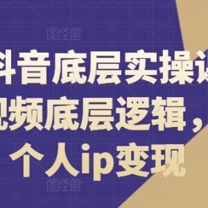 2024抖音底层实操课 拆解短视频逻辑打造个人IP实现变现-雨叶虚拟资源网