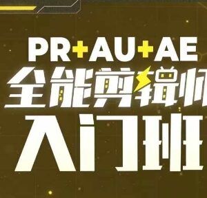 PR+AU+AE三合一全能剪辑入门班 零基础剪辑必学系统课程-雨叶虚拟资源网