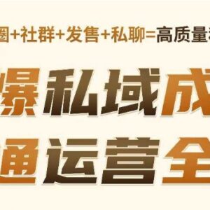 私域高成交私聊转化方法 从用户识别到成交全链路运营教程-雨叶虚拟资源网