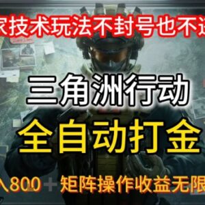 三角洲游戏全自动挂机搬砖玩法 合规不封号可矩阵放大收益-雨叶虚拟资源网