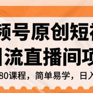 视频号短视频引流直播间项目解析 低门槛实操变现玩法教程-雨叶虚拟资源网