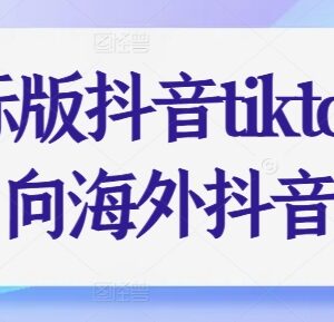 国际版抖音TikTok全阶段运营课程 从入门到变现实操教学-雨叶虚拟资源网