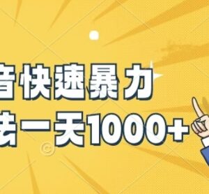 快手抖音零基础涨粉实操教程 新手易上手可实现单日涨粉千粉-雨叶虚拟资源网