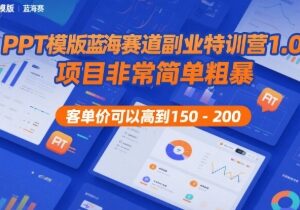 垂直类PPT模板蓝海副业解析 低门槛高客单价可批量复制落地-雨叶虚拟资源网