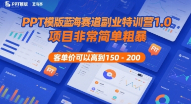 垂直类PPT模板蓝海副业解析 低门槛高客单价可批量复制落地