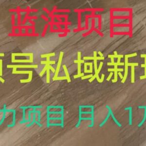 视频号私域蓝海项目新玩法 低门槛高利润月入过万实操指南-雨叶虚拟资源网