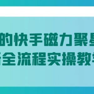 2024年5月快手磁力聚星全流程实操 单人可落地低门槛赚钱教程-雨叶虚拟资源网
