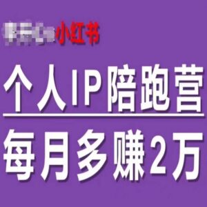 小红书个人IP陪跑营实操教程 60天打造双渠道自动成交IP-雨叶虚拟资源网
