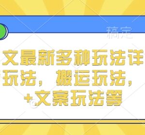 2024小说推文主流玩法详解 含实况文案搬运双图等多种玩法-雨叶虚拟资源网